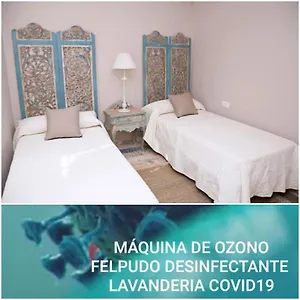 Flor De Naranjo Córdoba